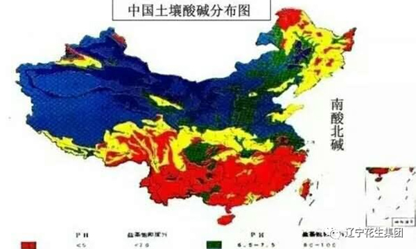 農(nóng)業(yè)小知識--土壤病了！用再多肥料也白瞎！