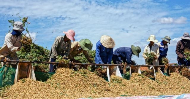 cefc1e178a82b9013d144c1bfe97ec713912ef7a cefc1e178a82b9013d144c1bfe97ec713912ef7a