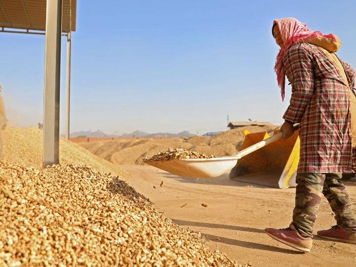 2f96f594b17a4782b98e9305b0bf88c7 2f96f594b17a4782b98e9305b0bf88c7